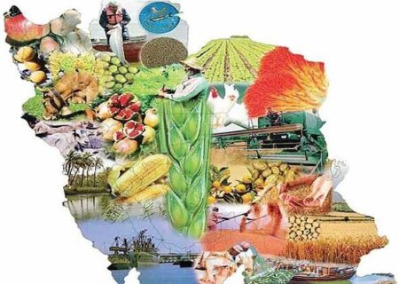 امنیت غذایی در گرو حفظ نژادهای بومی دام